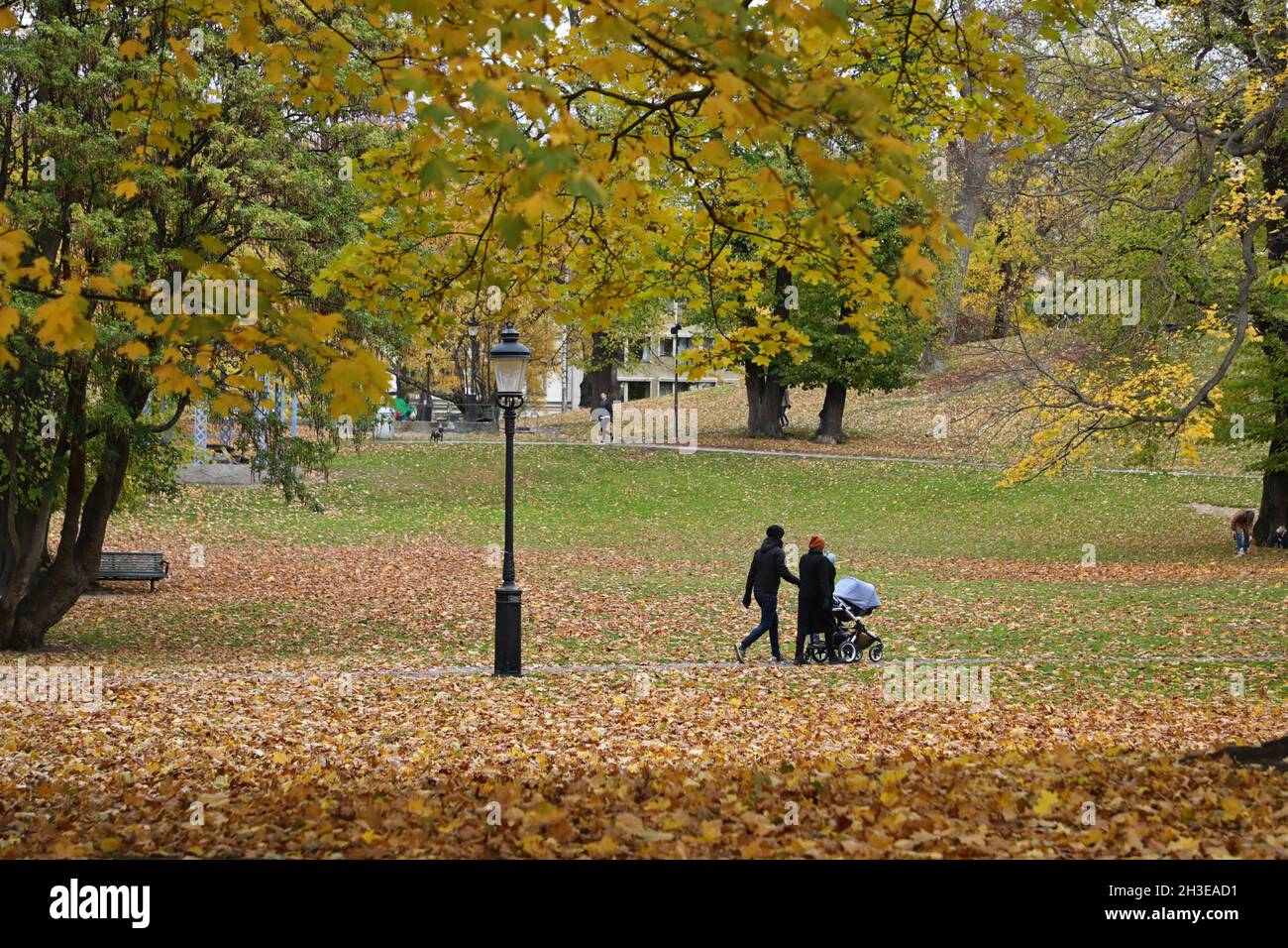 Daily life in Humlegården in Stockholm, Sweden, during Sunday Stock ...