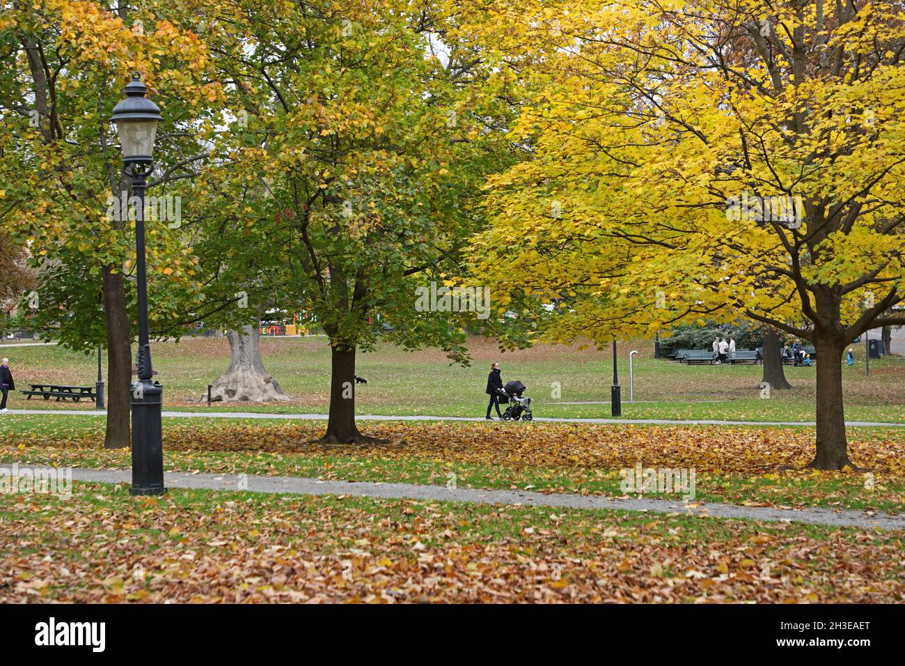 Daily life in Humlegården in Stockholm, Sweden, during Sunday Stock ...
