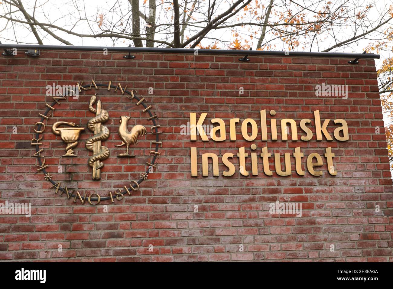 Karolinska Institutet in Stockholm, Sweden. Stock Photo
