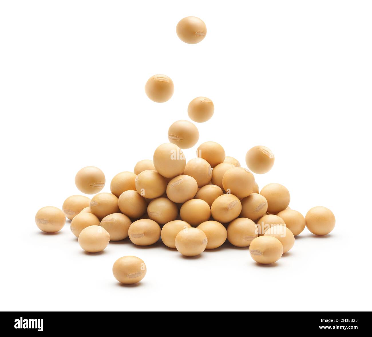 Soybean falling on heap of soybeans isolated on white background Stock Photo