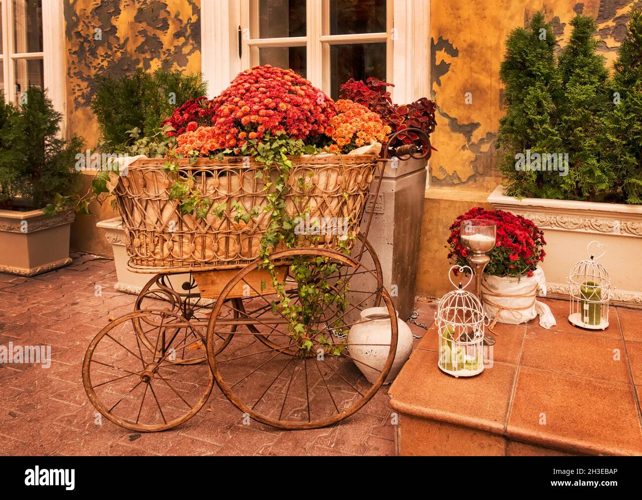 Chrysanthemums in a vintage straw pram. Decorative composition of autumn flowers in a wicker straw garden cart, candles in cages on the threshold of t Stock Photo