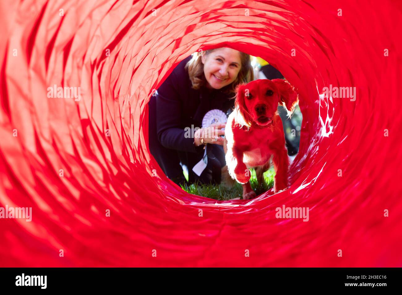 Anna mcmorrin mp hires stock photography and images Alamy