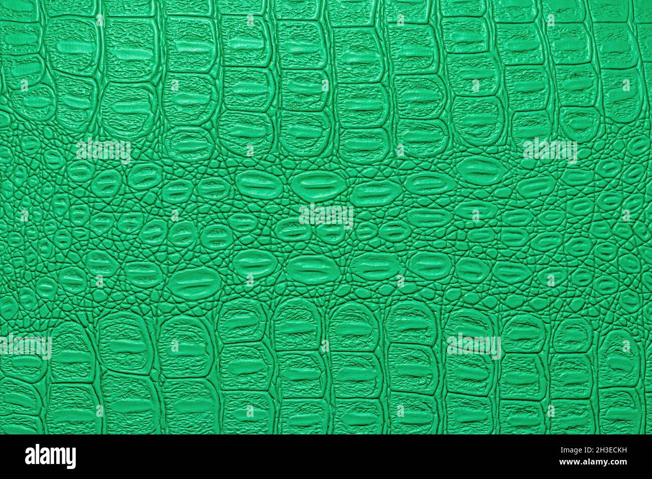 Green crocodile leather texture. Abstract background for design. Stock Photo