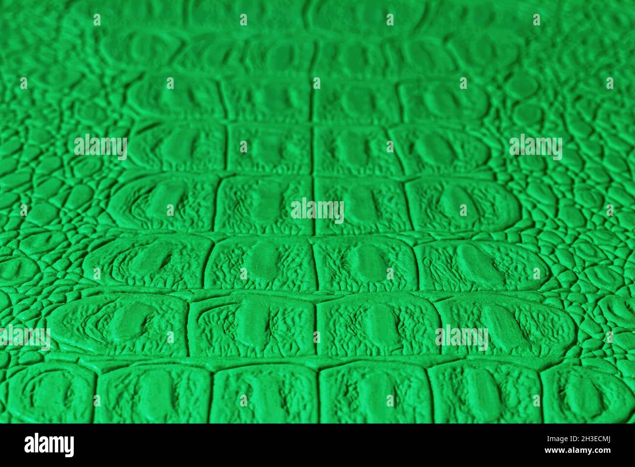 Green crocodile leather texture. Abstract background for design. Stock Photo