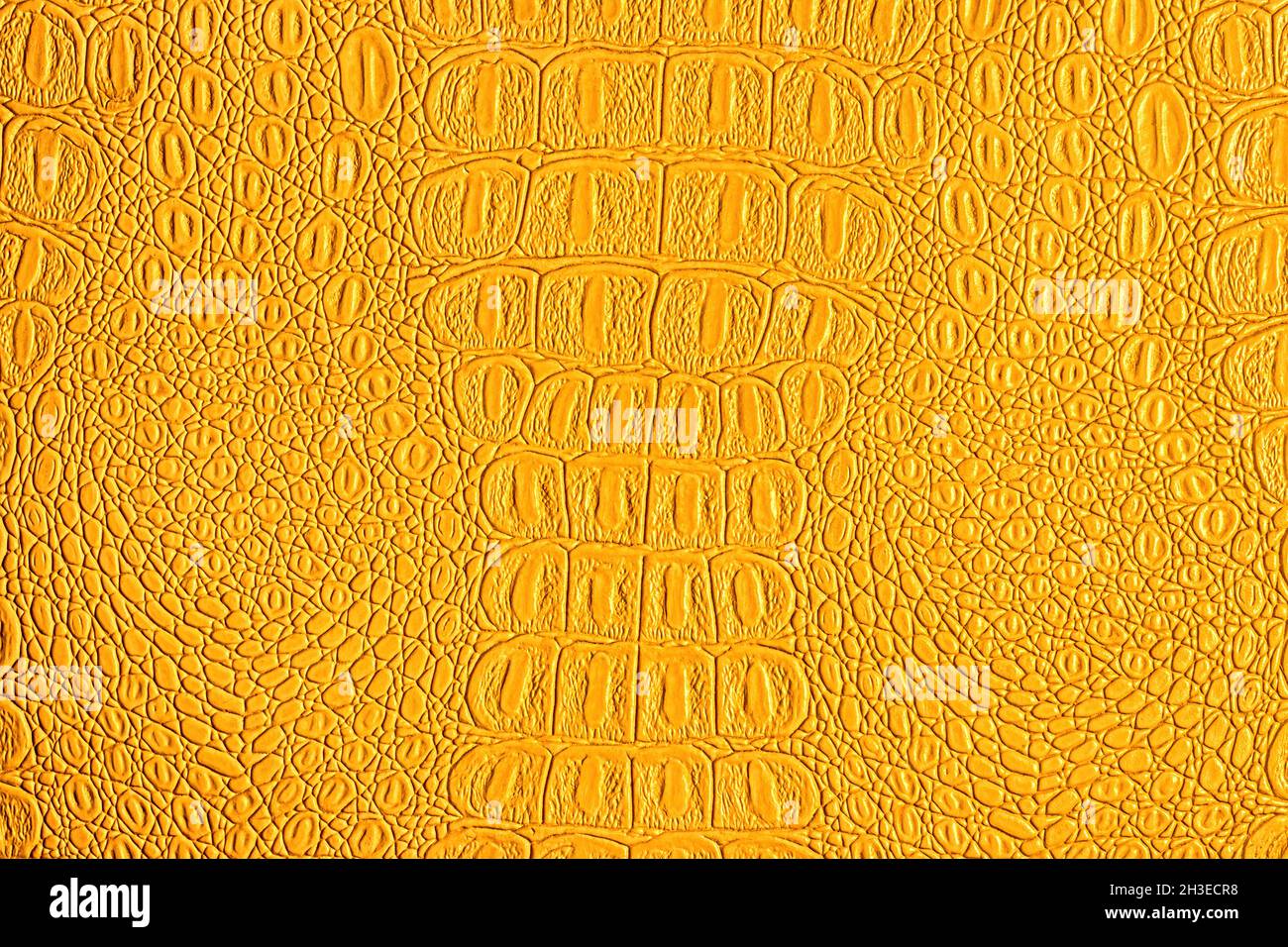 Orange crocodile leather texture. Abstract background for design. Stock Photo