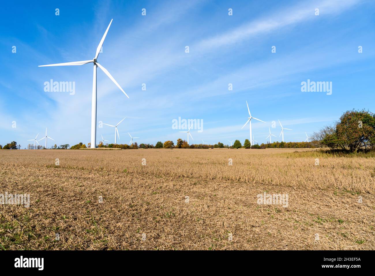 Wind turbines in a harvested field on a sunny autumn day. Copy space. Renewable energy concept. Stock Photo