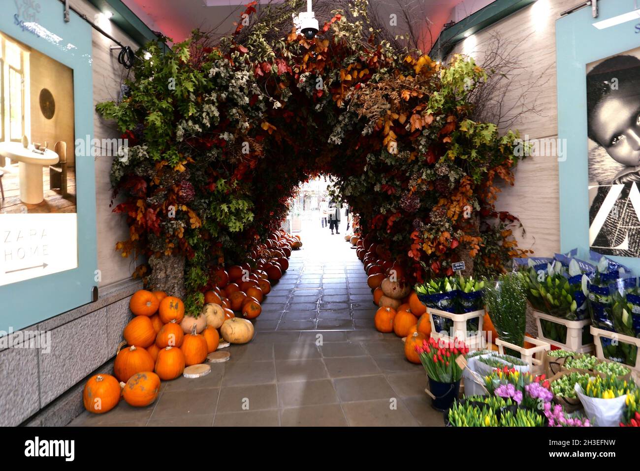 The traditions and importance of Halloween vary greatly among countries that observe it. In Scotland and Ireland, traditional Halloween customs include children dressing up in costume going 'guising', holding parties, while other practices in Ireland include lighting bonfires, and having firework displays.In Brittany children would play practical jokes by setting candles inside skulls in graveyards to frighten visitors. Mass transatlantic immigration in the 19th century popularized Halloween in North America, and celebration in the United States and Canada has had a significant  impact ... Stock Photo