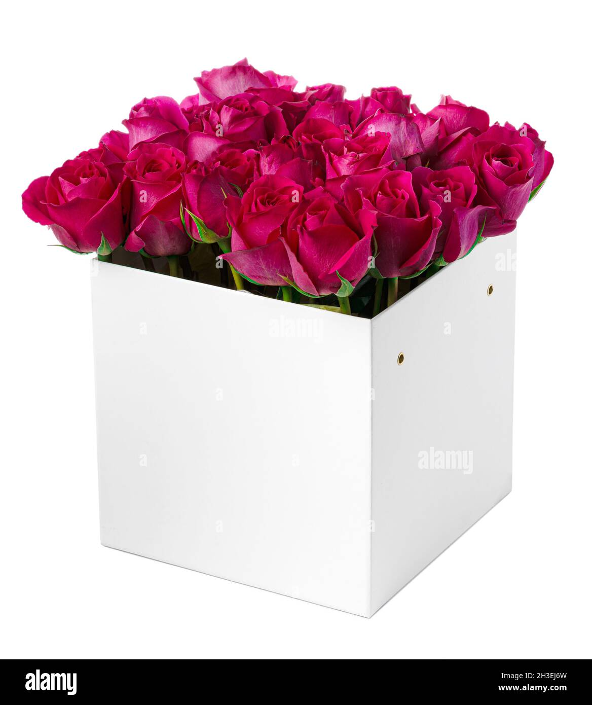 Bouquet of roses in a box Cut Out Stock Images & Pictures Alamy