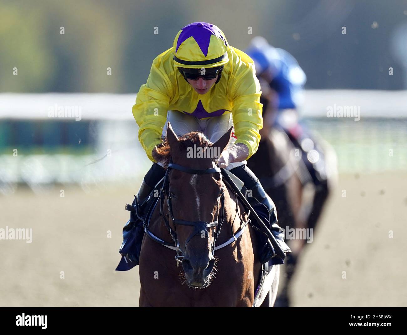 River eden horse 2021 hires stock photography and images Alamy