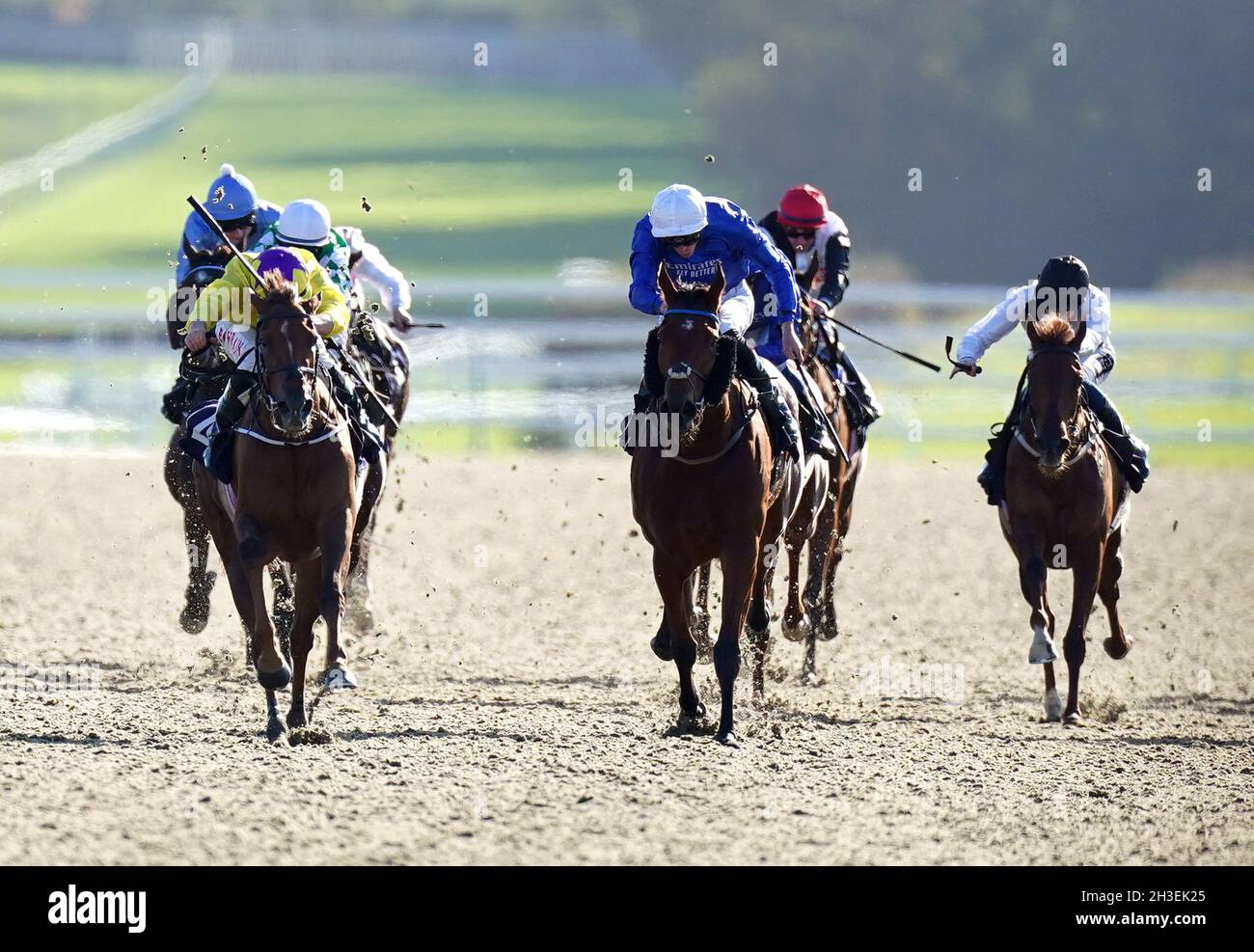 River eden horse 2021 hires stock photography and images Alamy