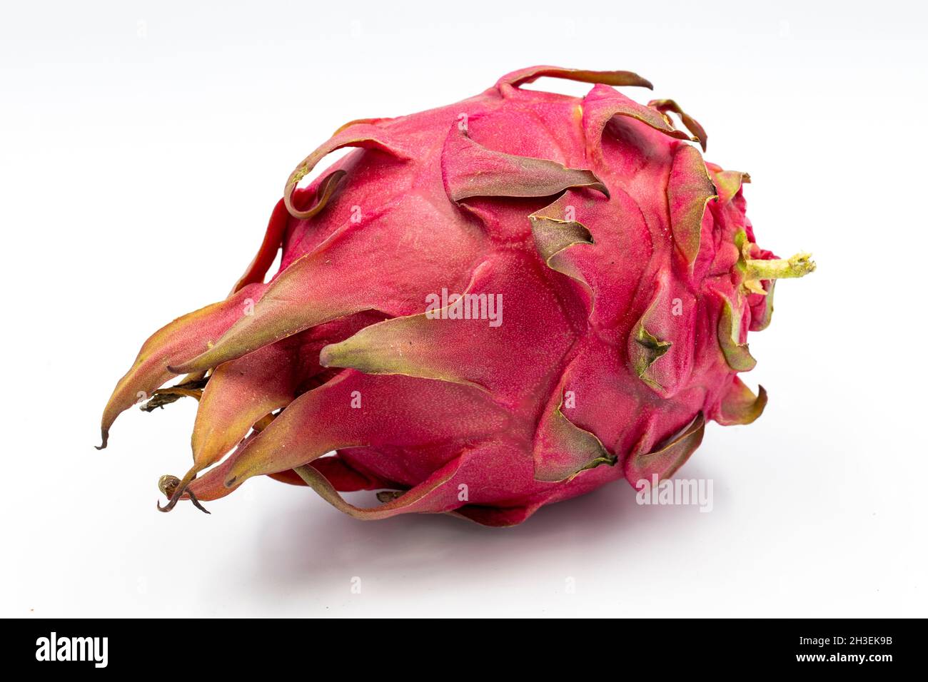 Dragon fruit, pitaya on white background with shadow. A pitaya or pitahaya is the fruit of several cactus species indigenous to the Americas. Close up Stock Photo