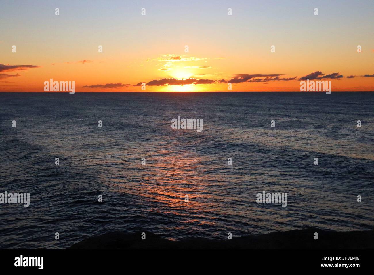 Sunny Reflection Gorgeous golden sunrise/sunset taken in sydney. Beautiful sunny ...