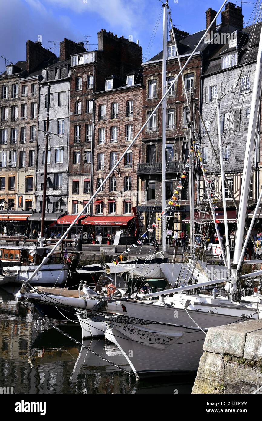 FRANCE LE HAVRE Old Colour Postcard La Nouvelle Jetee New Jetty at
