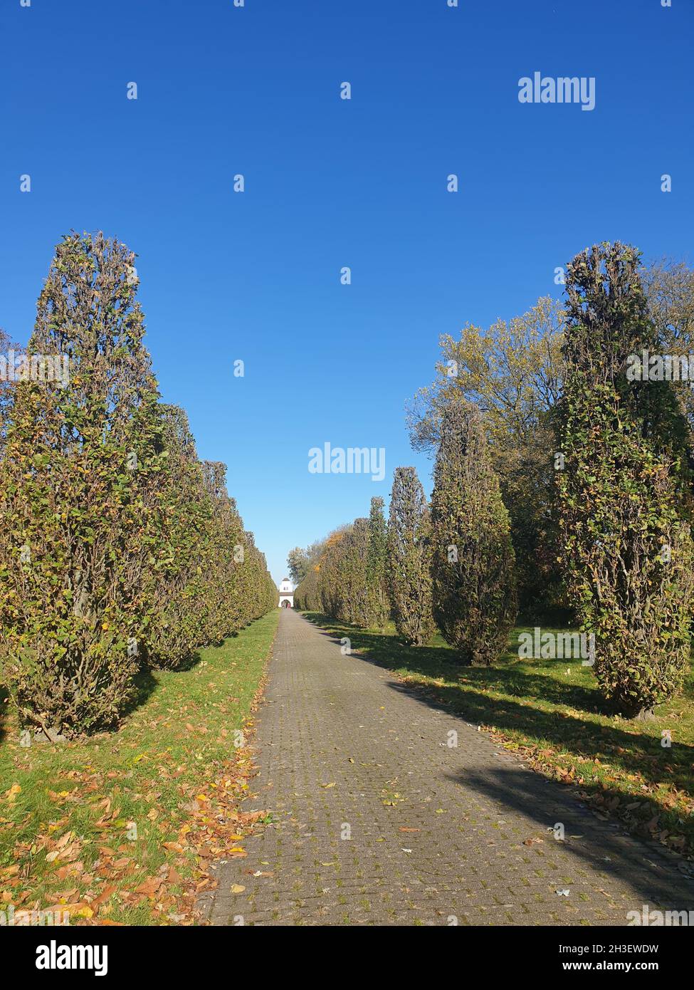 Hauptfriedhof in Mülheim an der Ruhr Stock Photo