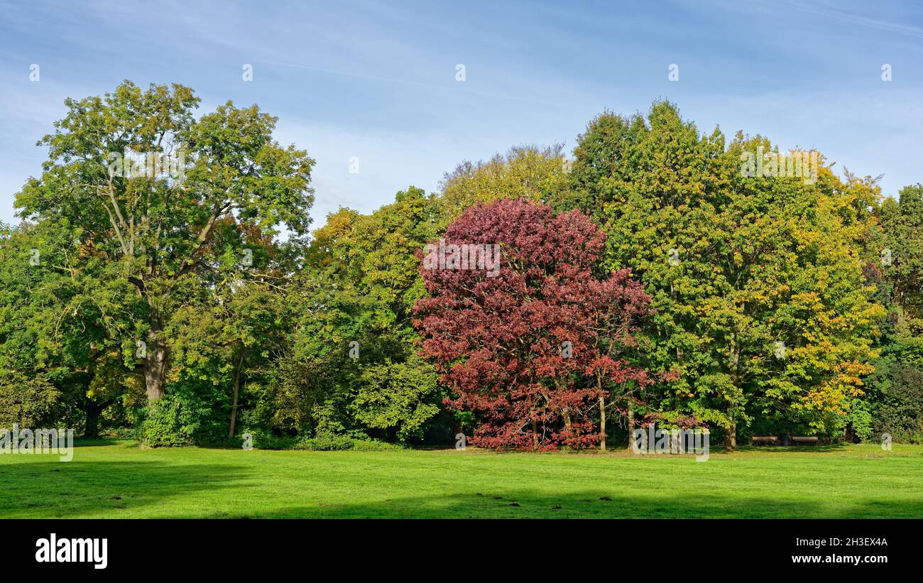 Hannover herbst hi-res stock photography and images - Alamy