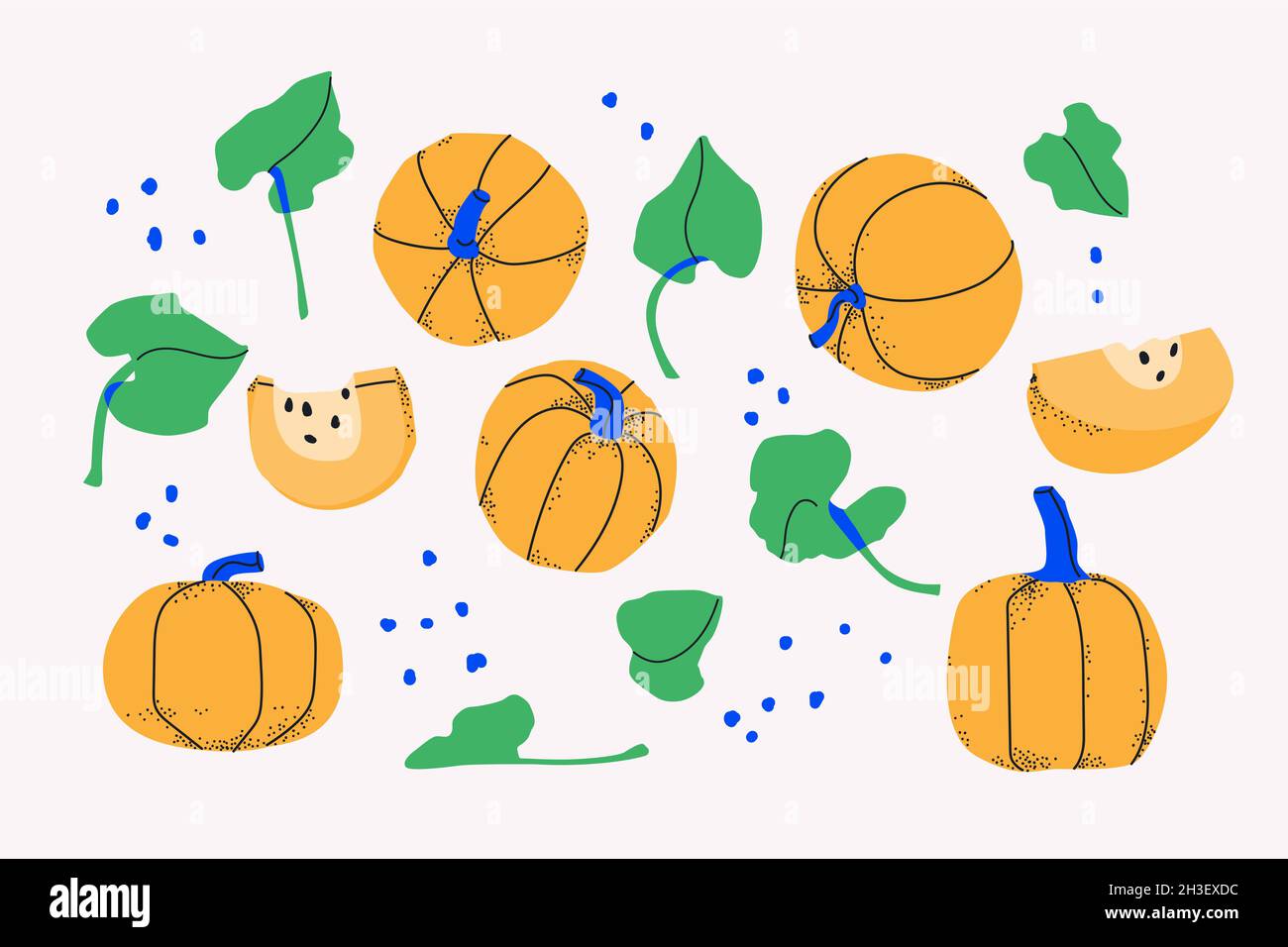 Set of decorative yellow pumpkins, slices and leaves. Vegetables isolated on white background. For design Stock Vector