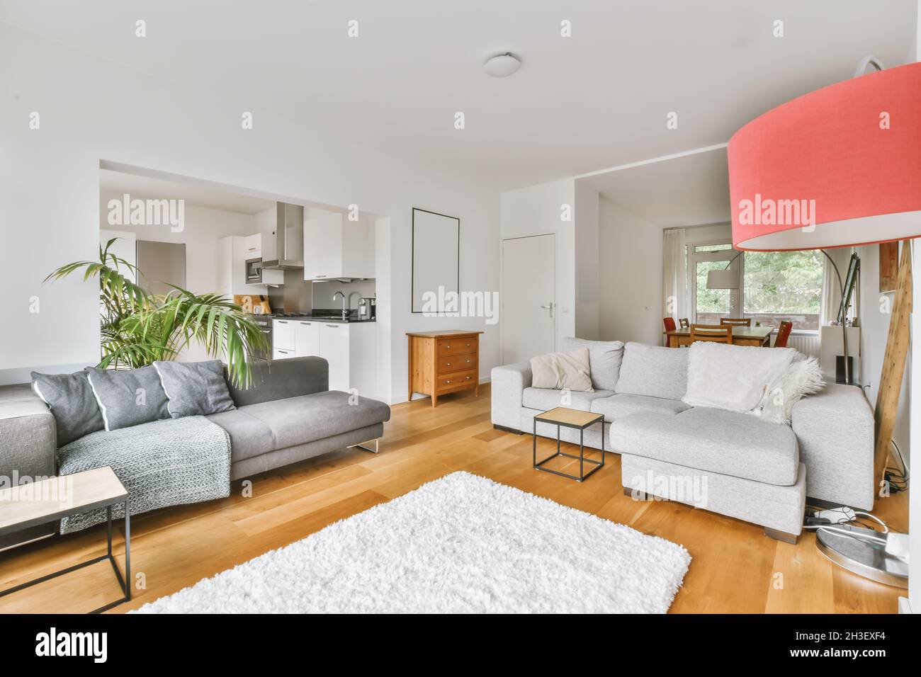 Design of living room with two stylish sofa Stock Photo - Alamy