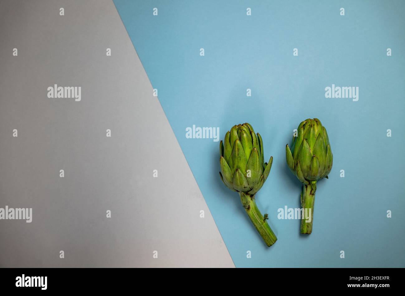 Two artichokes on grey and blue background Stock Photo