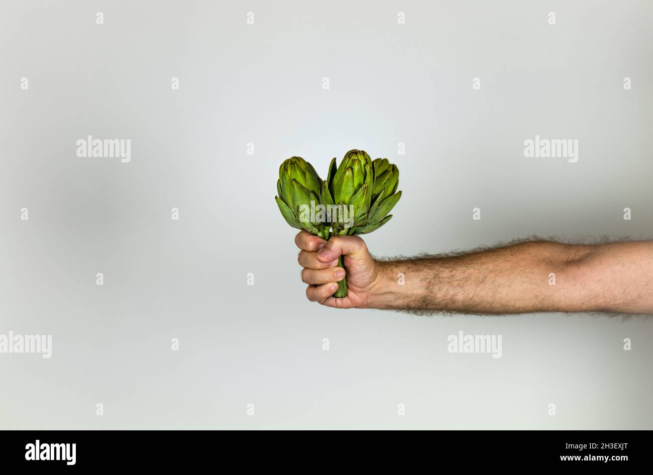 Hand holding three artichokes on white background Stock Photo