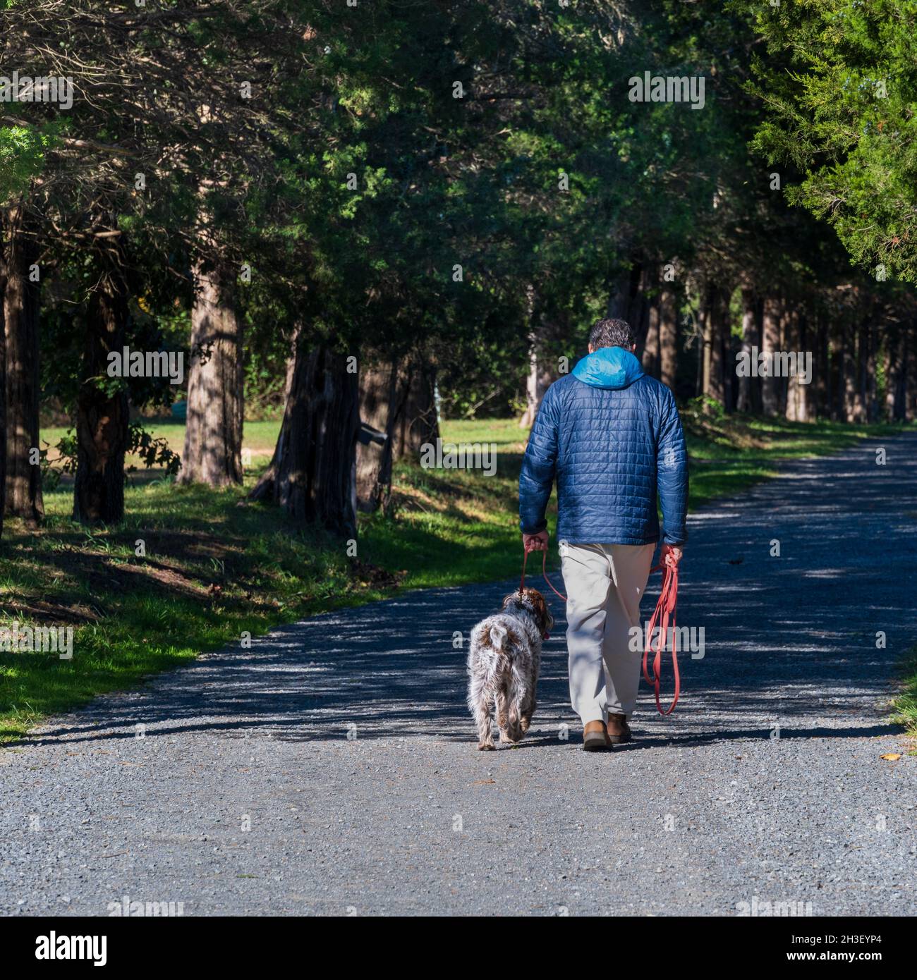 Sterling, VA, USA -- Oct 21, 2021. Photo of a man walking his dog in Claude Moore Park on an Autumn day. Stock Photo