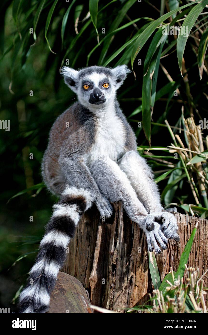 Irina Krug jinsiy aloqa