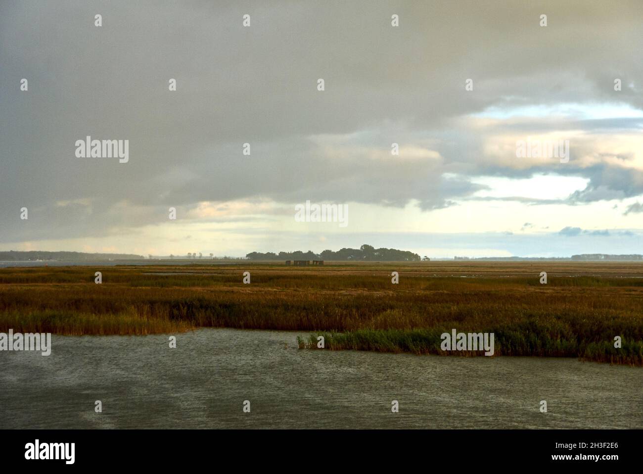 The island of Grosser Kirr near Zingst in the Barther Bodden on Darss  during a rain shower. For cranes, the island is an undisturbed roosting  place Stock Photo - Alamy
