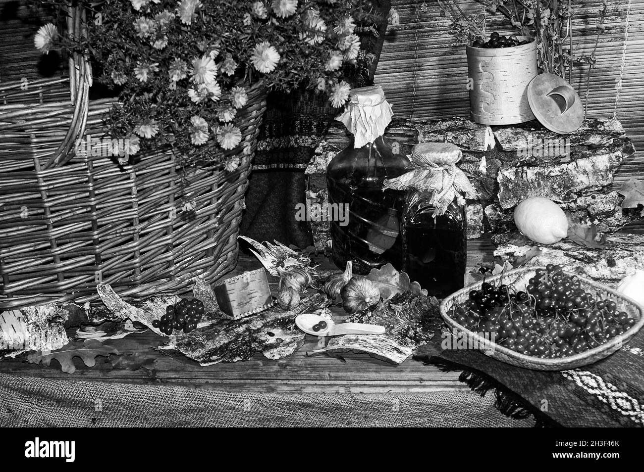 Photo herbal tincture, viburnum and black ash Stock Photo Alamy
