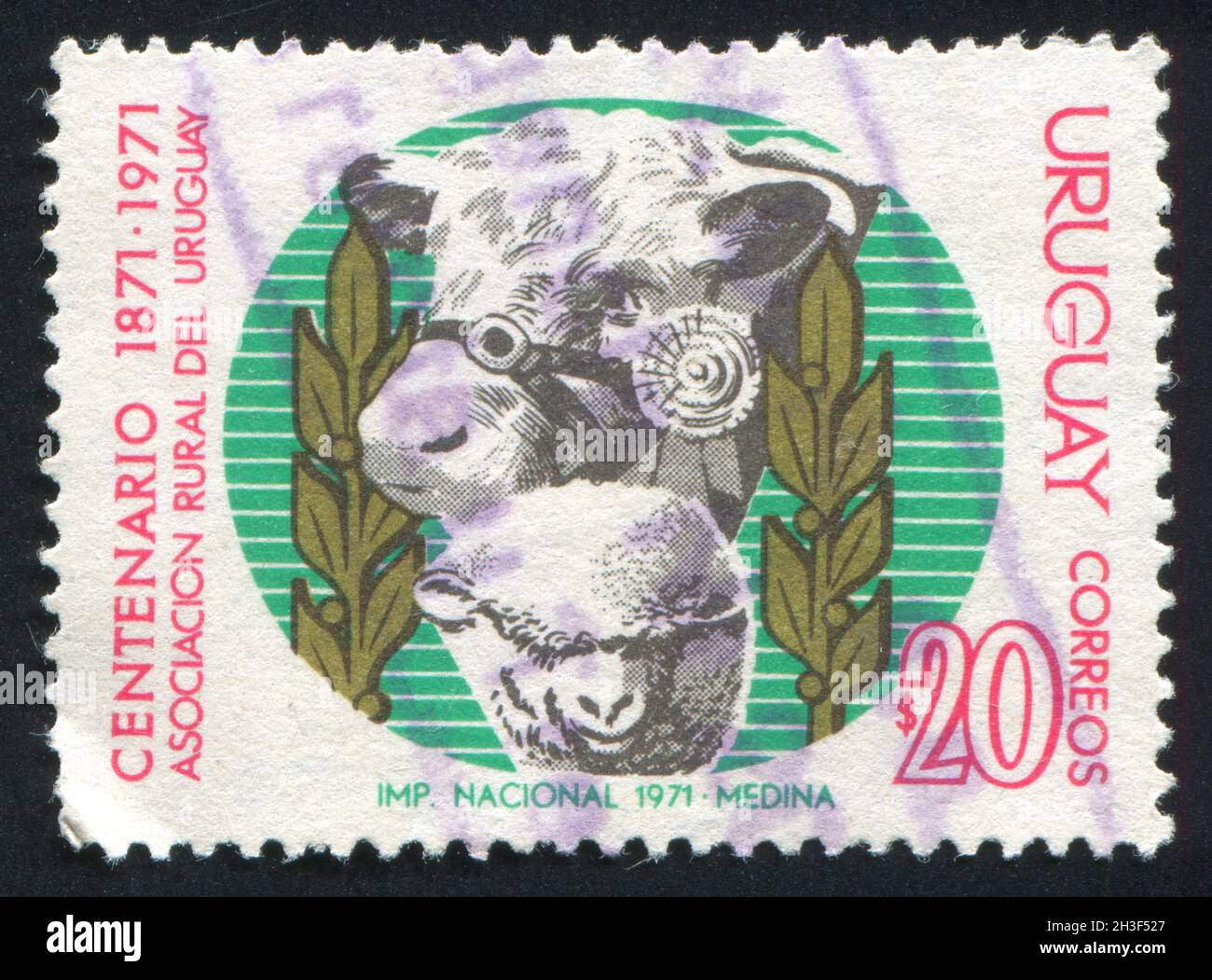 Uruguay circa 1971 stamp printed by uruguay shows ram and bull