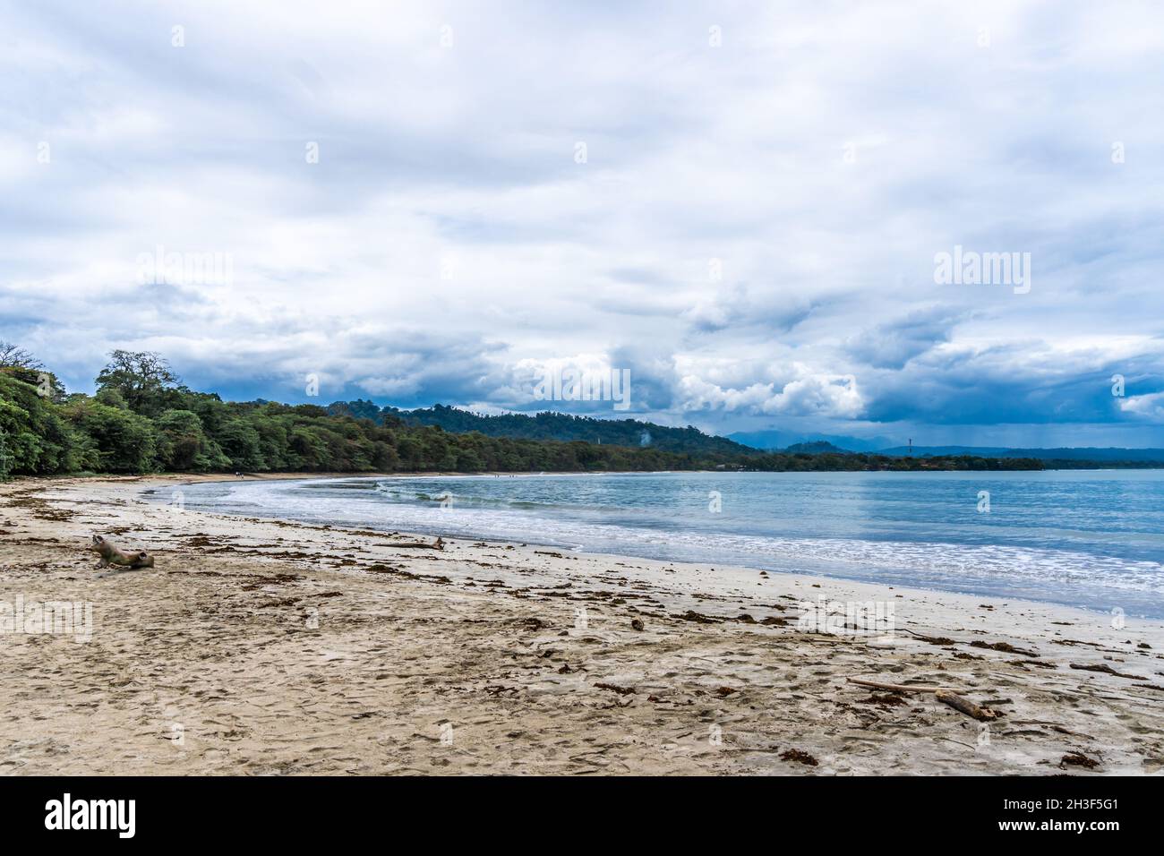 Beautiful view of the sandy beach under the blue sky Stock Photo - Alamy