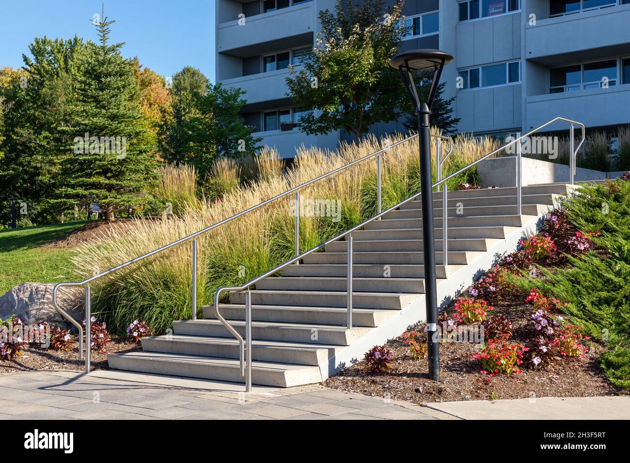 Apartment building front yard with stairs leading to the entrance and