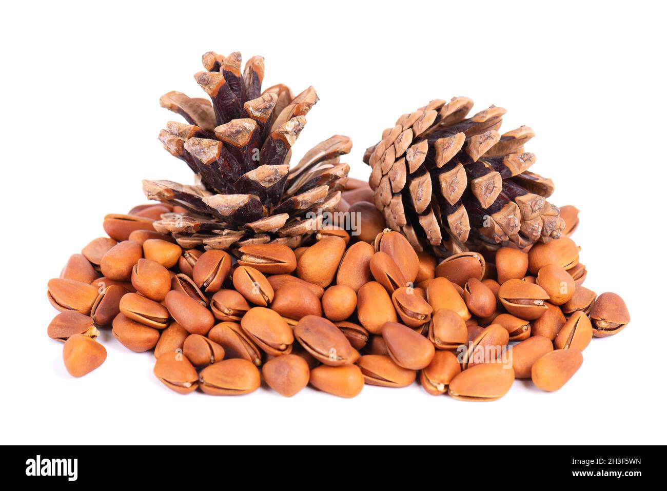 Pine nuts isolated on white background. Pine cones and heap of roasted