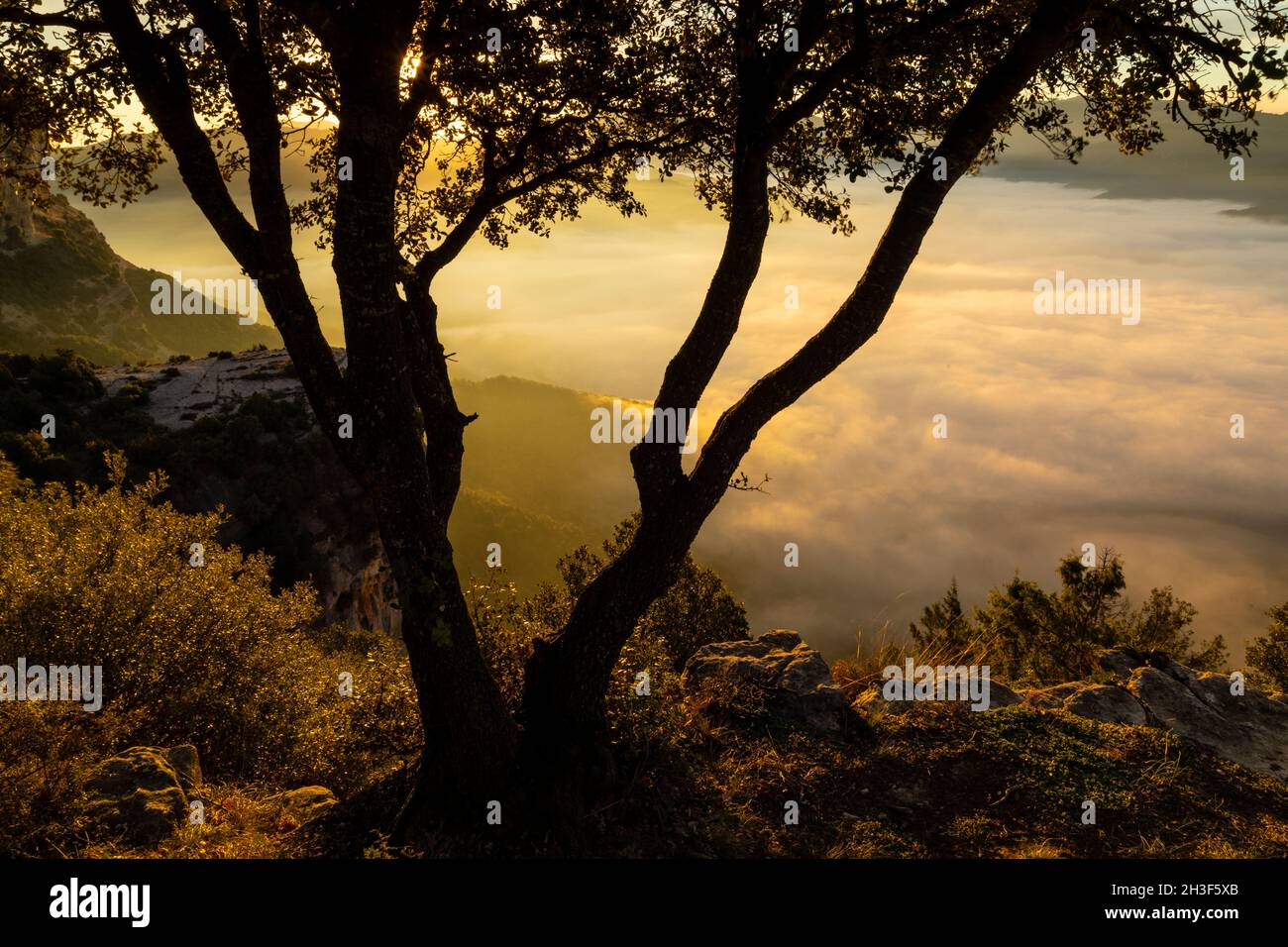 Thermal inversion on an autumn sunrise at Tavertet Cliffs (Cingles de Tavertet). Tavertet, Osona, Barcelona, Spain, Europe. Stock Photo