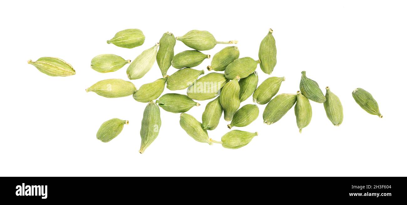 Cardamom pods isolated on white background. Green cardamon seeds