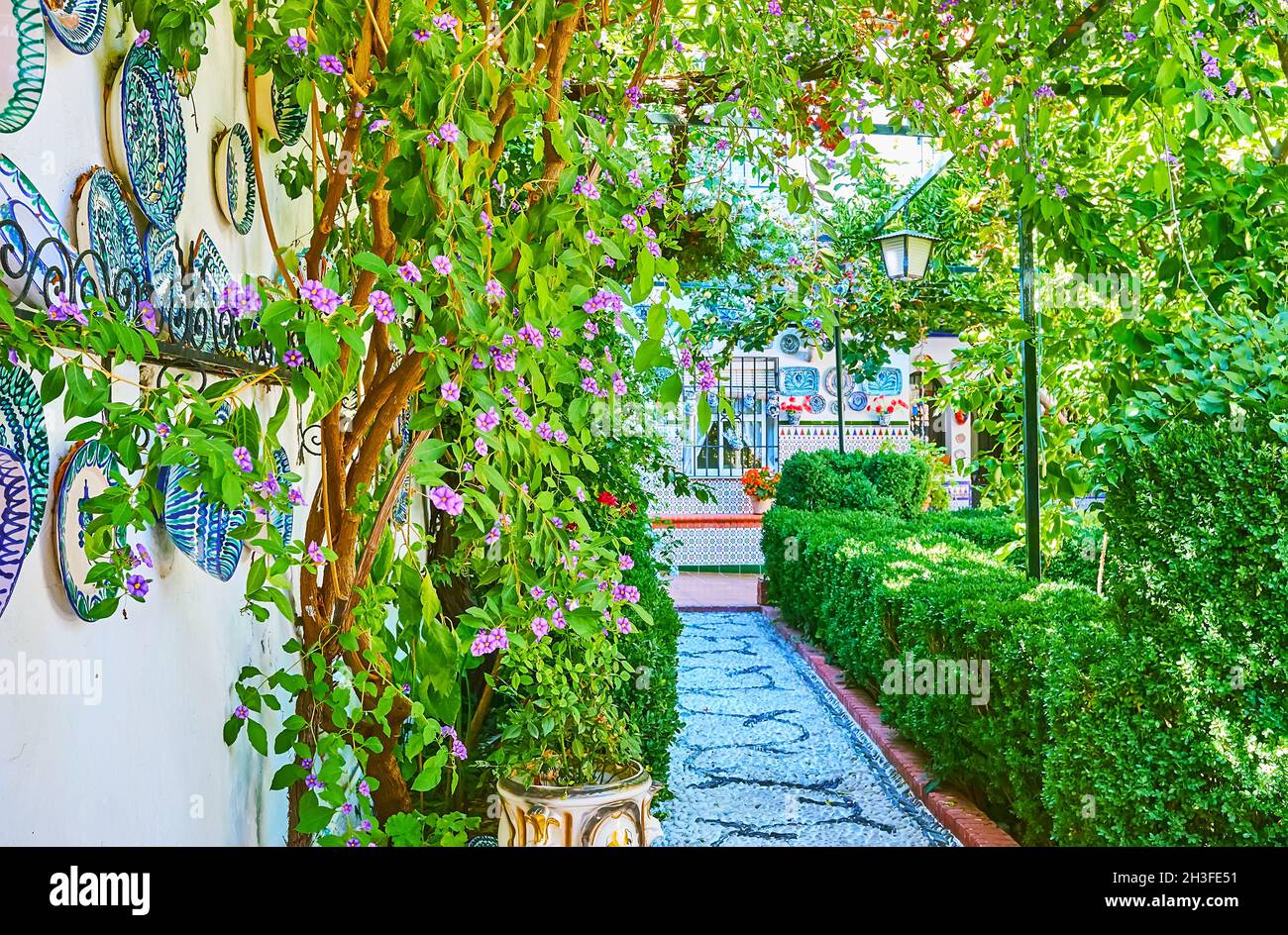 Traditional Andalusian yard, decorated with beautiful ceramic plates with patterns and lush green garden with trimmed and blooming plants, Granada, Sp Stock Photo