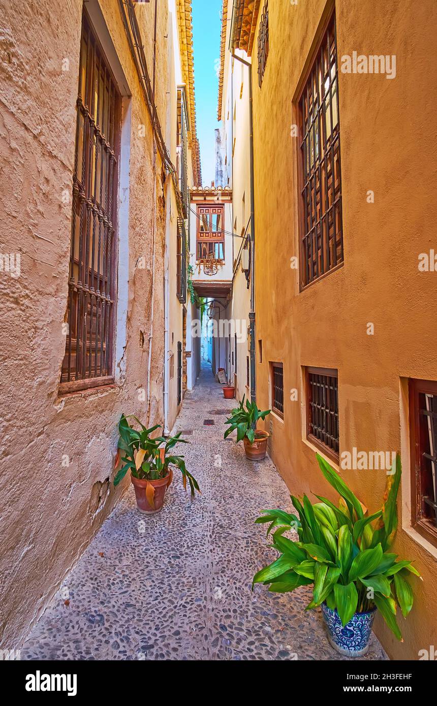 The narrow backstreet, lined with old walls and decorated with plants in pots, Albaicin, Granada, Spain Stock Photo