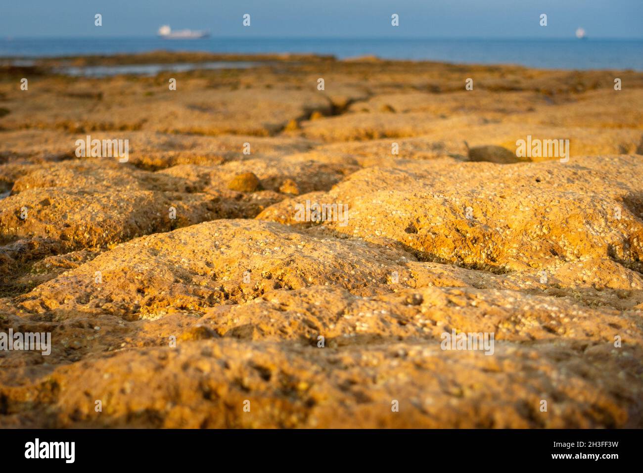 Close up, macro, small scale coastal landscape at Bembridge, Isle of Wight, UK Stock Photo