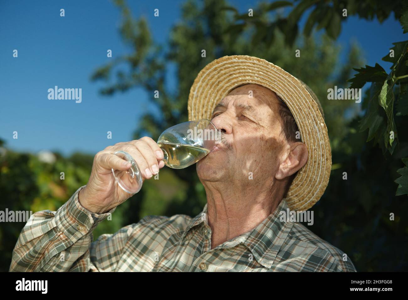 Senior winemaker testing wine Stock Photo