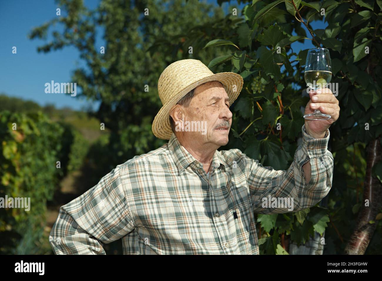 Senior vintner testing wine Stock Photo
