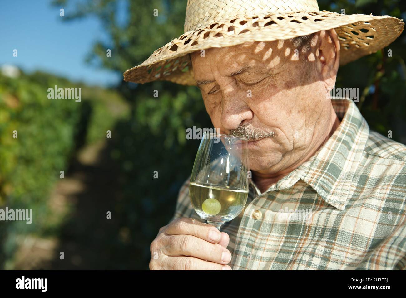 Senior vintner testing wine Stock Photo