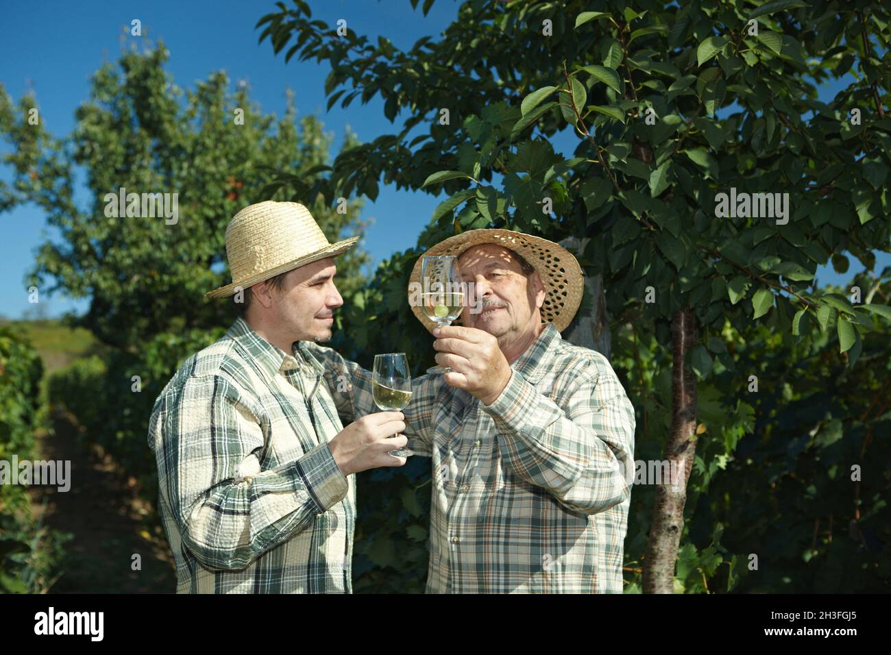 Winemakers testing wine Stock Photo