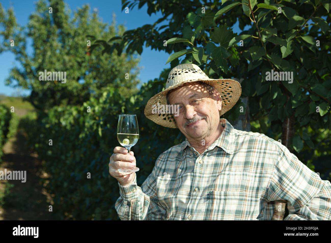 Senior vintner testing wine Stock Photo