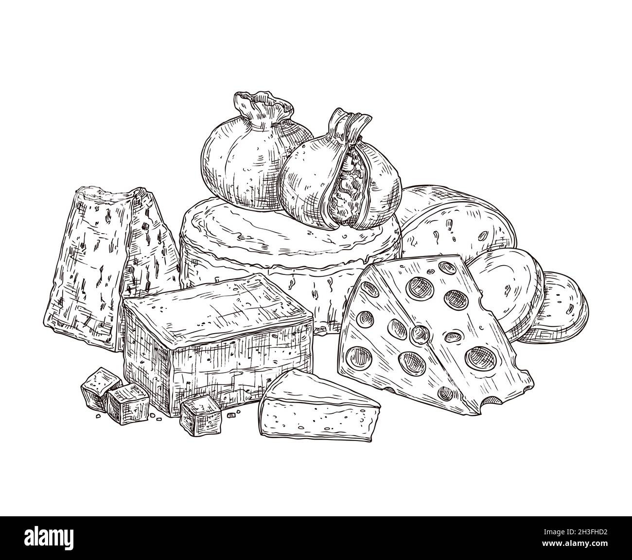 Drawing cheese. Sketch ingredients, vintage dairy food products. Doodle