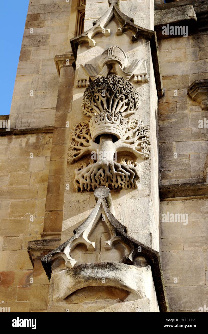 Bath Abbey carvings of an olive tree. Legend has it Bishop Oliver King was inspired to rebuild the Abbey in 1499 after dreaming of the tree and crown Stock Photo