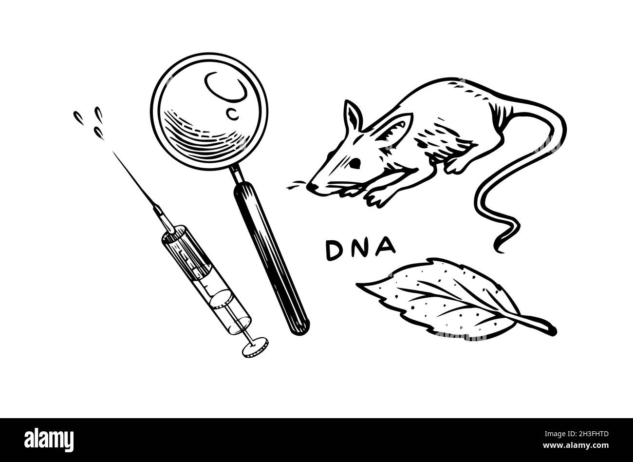 Rat and syringe and magnifying glass. Chemical laboratory experiments. Mouse in medical biological research. Outline black ink for infographic Stock Vector