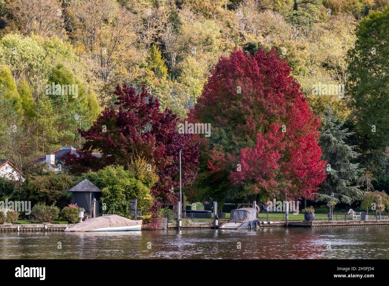 Autumn colours, Henley on Thames, Oxfordshire, England, UK Stock Photo
