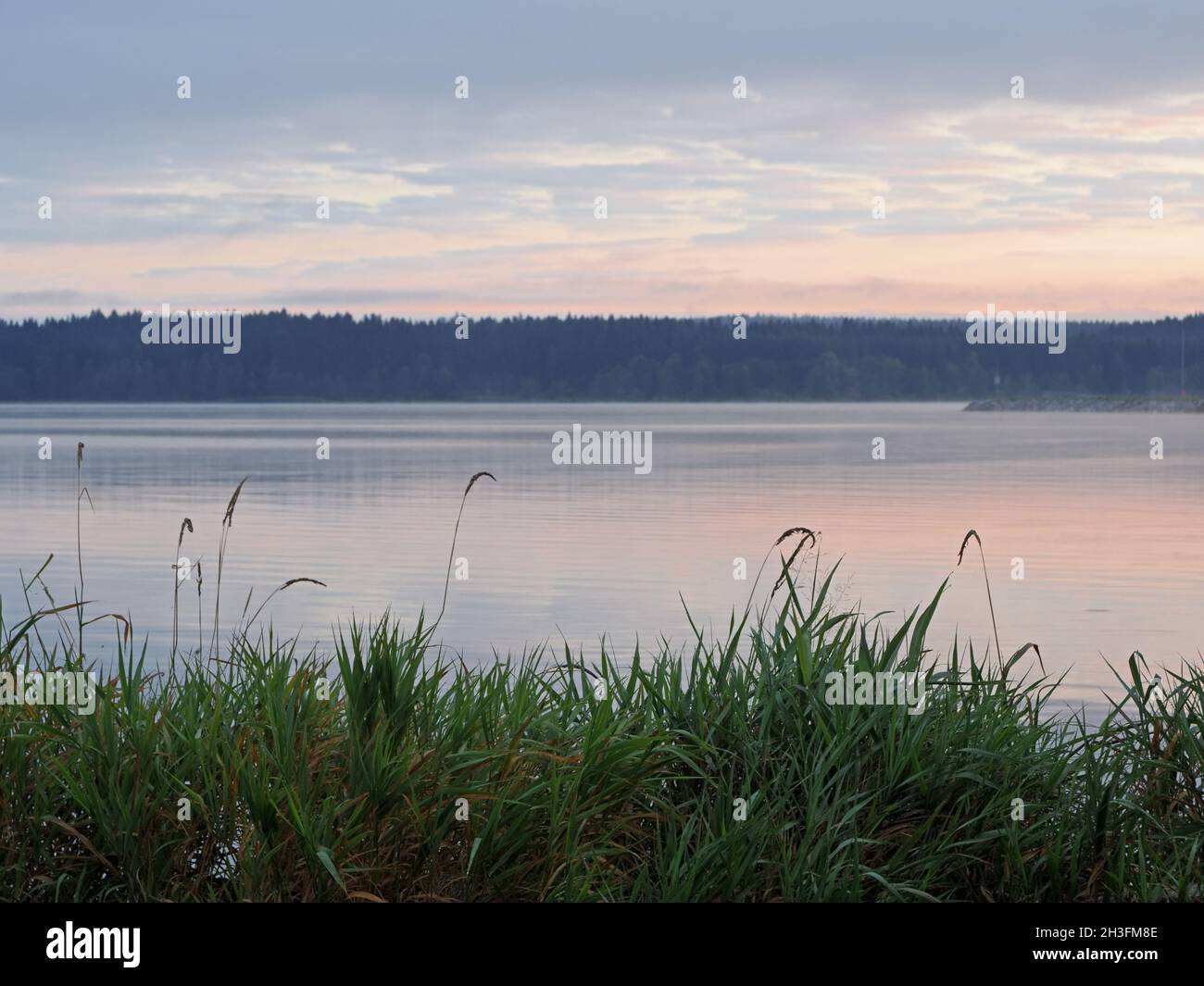 Foggy morning on the lake Lipno in the mountains Sumava, Czech Republic Stock Photo
