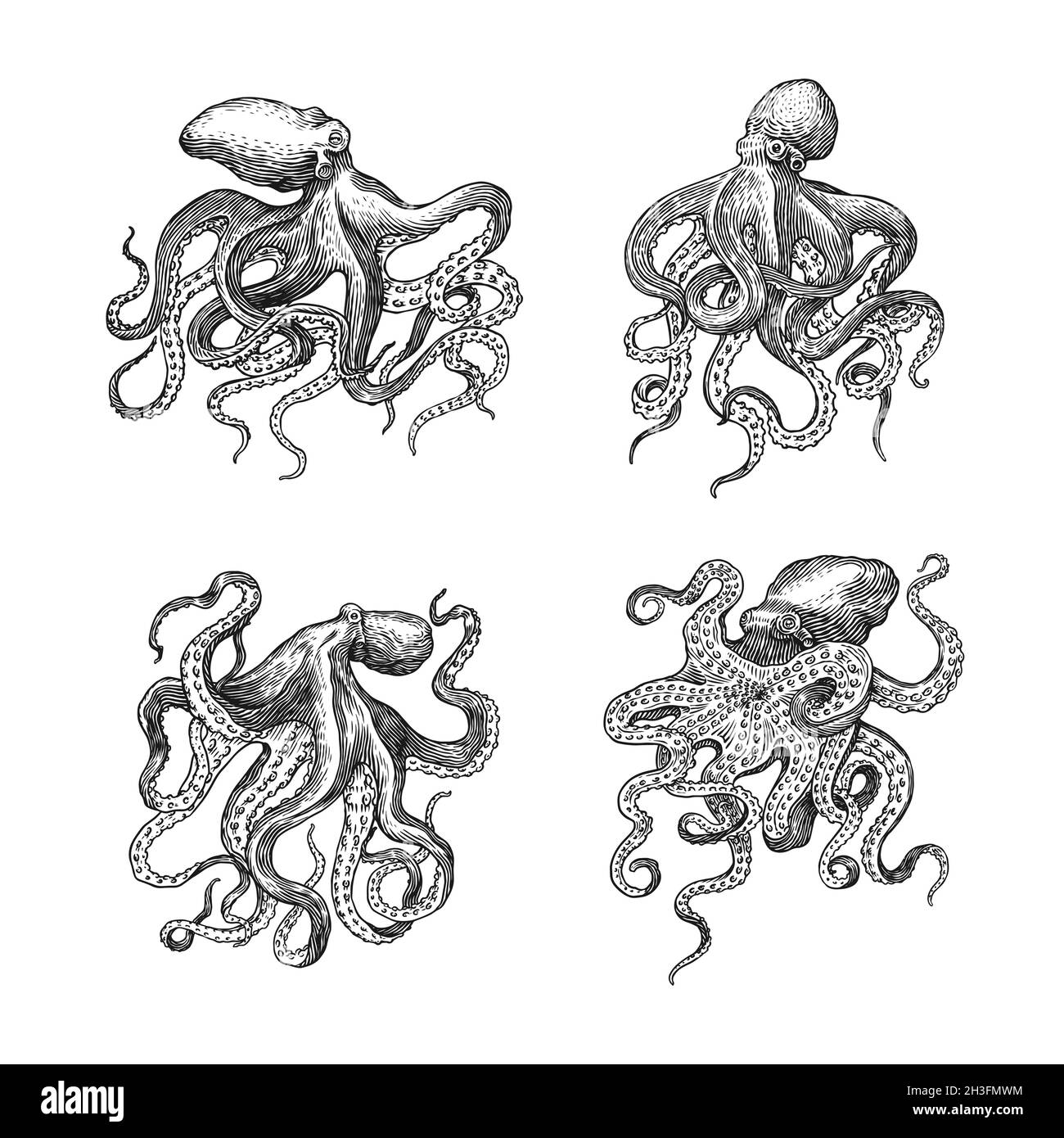 Vintage Zeemonster Illustratie The Devil Fish (Octopus), Vintage