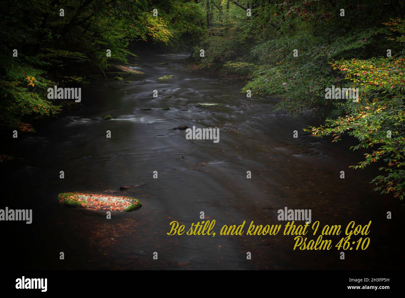 Smooth water passing leaf covered rock with embedded Biblical scripture Stock Photo