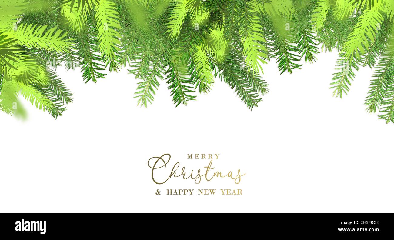 Merry Christmas 2022 Border Christmas 2022 New Year Winter Border With Realistic Xmas Tree Branches.  Festive Design Isolated On White Background. Gold Text Merry Christmas Happy  Stock Photo - Alamy