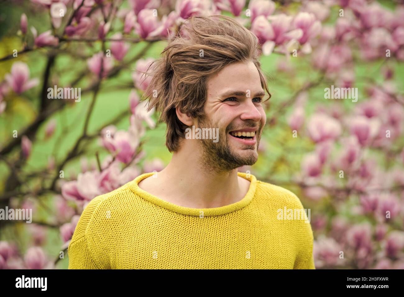 Sniff Spring Hipster enjoy blossom aroma. Unshaven man sniff bloom of magnolia ...